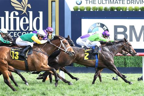 myer classic odds